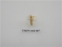 藏品(尺蠖蛾科)的圖片